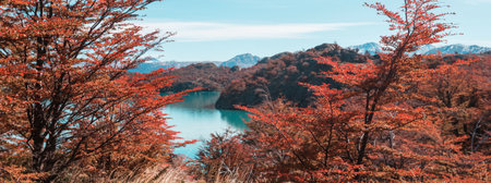 Colorful Autumn season in mountainsの写真素材