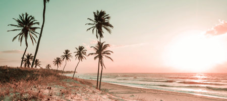 Beautiful summer landscapes  on the tropical beach. Vacation background.の写真素材