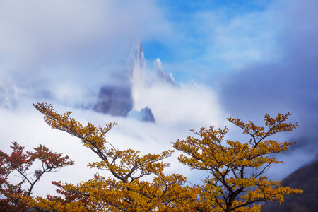 Autumn season in Patagonia mountains, South America, Argentinaの写真素材