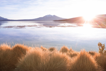Beautiful natural landscapes in Atacama desert, northern Chile