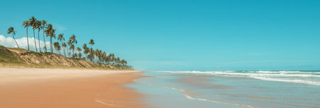 Beautiful summer landscapes  on the tropical beach in Brazil. Vacation background.の写真素材