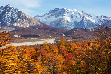 Colorful Autumn season in mountainsの写真素材