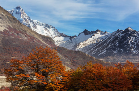 Colorful Autumn season in mountainsの写真素材