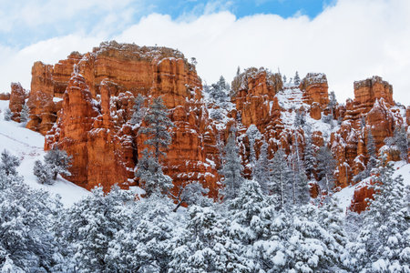 Picturesque colorful pink rocks of the Bryce Canyon National park in the winter season, Utah, USAの写真素材