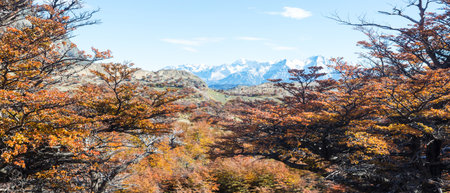 Colorful Autumn season in mountainsの写真素材