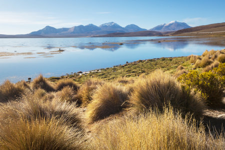Fantastic Scenic landscapes of Northern Chile, Atacama desert. Beautiful inspiring natural landscapes. High mountains.の写真素材