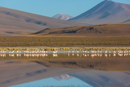 Fantastic Scenic landscapes of Northern Chile, Atacama desert. Beautiful inspiring natural landscapes.の写真素材