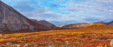 Picturesque Mountains of Alaska in autumn. Snow covered massifs, glaciers and rocky peaks. Beautiful natural background.の写真素材