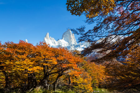 Autumn season in Patagonia mountains, South America, Argentinaの写真素材