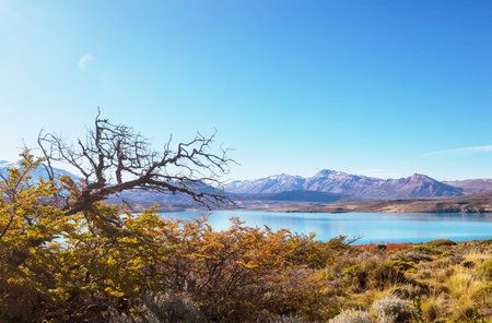 Autumn season in Patagonia mountains, South America, Argentinaの写真素材