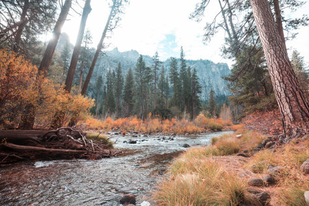 Beautiful fall season in Yosemite National Park, California, USAの写真素材