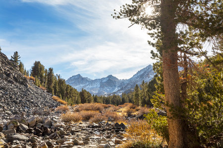 Scenic view of Sierra Nevada Mountain. fall foliage landscape. California,USA.の写真素材