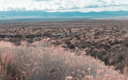 American landscapes- prairie and cliffs, Utah,  USA.の写真素材