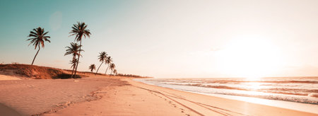 Beautiful summer landscapes  on the tropical beach in Brazil. Vacation background.の写真素材