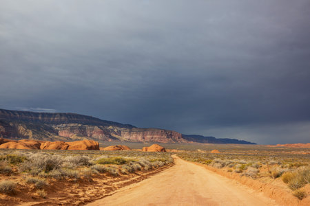 Road in the prairie country. Deserted natural travel background.の写真素材