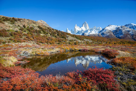 Autumn season in Patagonia mountains, South America, Argentinaの写真素材