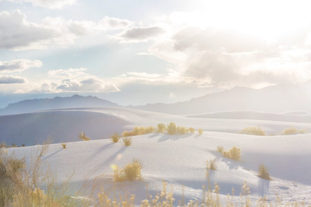 Unusual natural landscapes in White Sands National Monument,  New Mexico, USAの写真素材