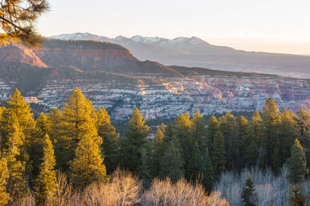 Sandstone formations in Utah, USA. Beautiful Unusual landscapes at sunrise..の写真素材