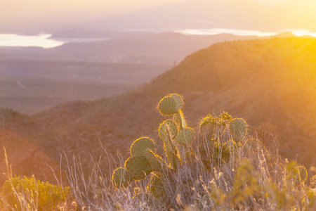 Cliffs and hills around Roosevelt lake in Central Arizona in spring season. Arizona, USAの写真素材