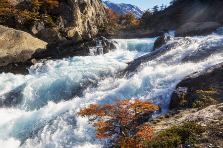 Autumn season in Patagonia mountains, South America, Argentinaの写真素材