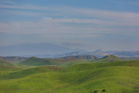 Summer green hills  in mountains  landscapes in the morning fog