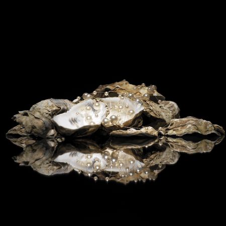 oyster with pearlsの写真素材
