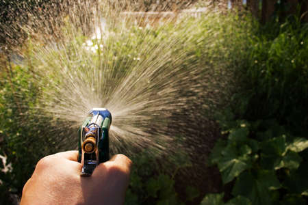 watering garden with a hose gunの写真素材
