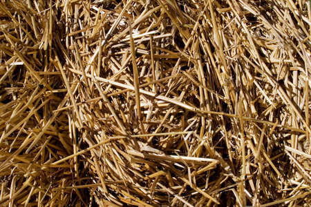 Closeup of a hay; makes a nice textured backgroundの写真素材