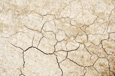 Cracked dried earth textureの写真素材