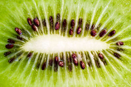 macro kiwiの写真素材