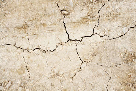 Cracked dried earth textureの写真素材
