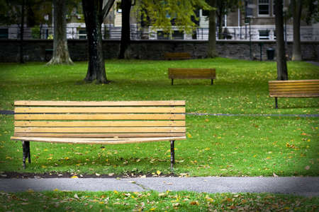 Bench park in autumnの写真素材