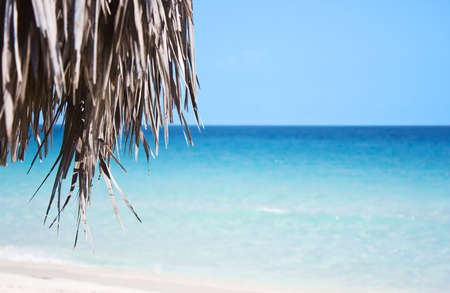 Parasol on a beautiful beach and sea backgoundの写真素材