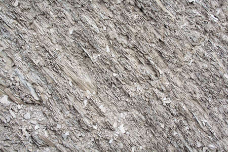 Close-up of a gray rock texutre