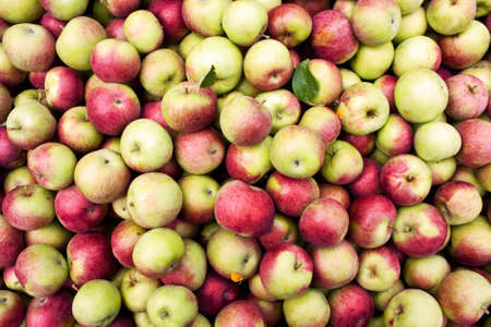 View from above of an apple binの写真素材