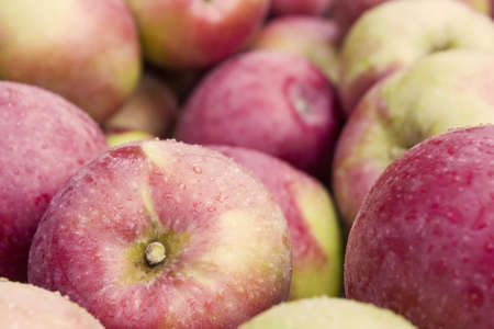 View from above of an apple bin
