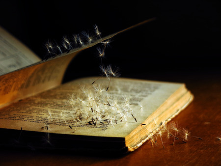Still life with bookの写真素材