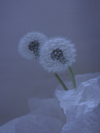 two