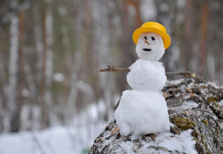 a small snowman stands on a fallen tree against the background of a winter forest in a yellow hatの写真素材