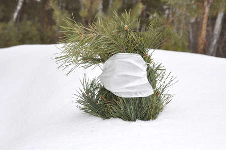 a bush of a coniferous plant in a protective medical mask on a winter snow backgroundの写真素材