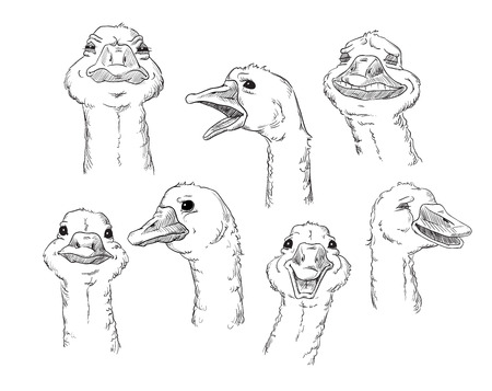 A cute goose with different facial expressions of a humanのイラスト素材