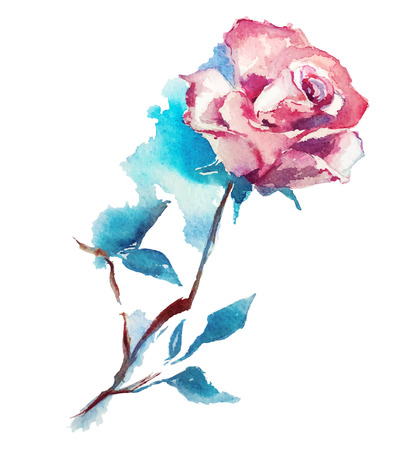 rose watercolor sketch. Vector illustration.のイラスト素材