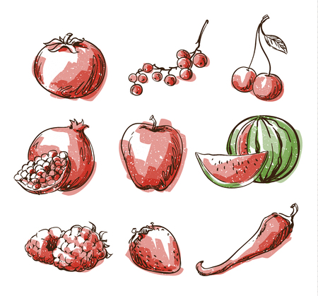 Assortment of red foods, fruit and vegtables, vector sketchのイラスト素材