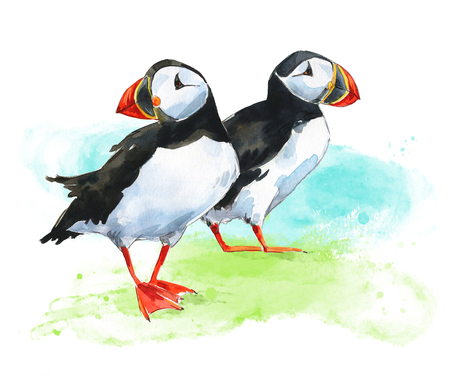 Two hand painted watercolor puffins on grassの写真素材