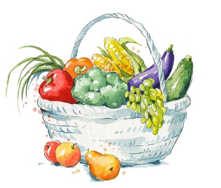 A basket full of fresh fruit and vegetables watercolor illustrationの写真素材