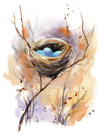 Watercolor illustration of a bird nest with blue eggs hidden in shrubsの写真素材