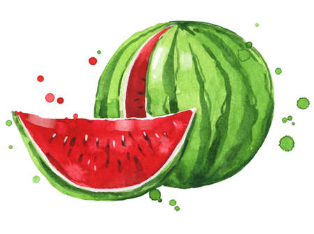 Fresh ripe watermelon watercolor illustrationのイラスト素材