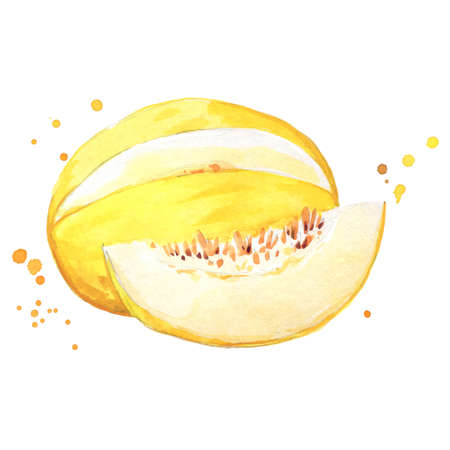 juicy ripe yellow sweet melon watercolor illustrationのイラスト素材