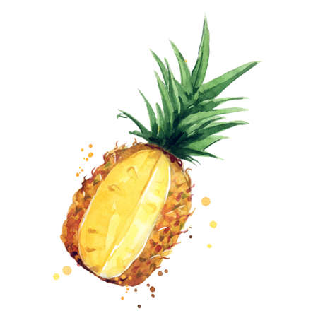 juicy ripe pineapple watercolor illustrationのイラスト素材