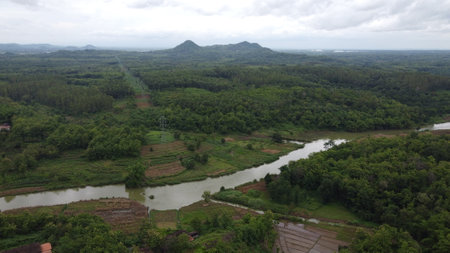 aerial view of green forest with river and mountain in the backgroundの写真素材